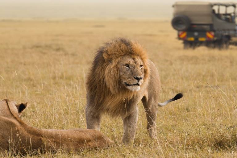 Tanzania 8 Days Mid-Range Safari